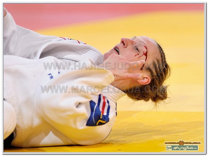 Grand Slam Paris 2013 Judo